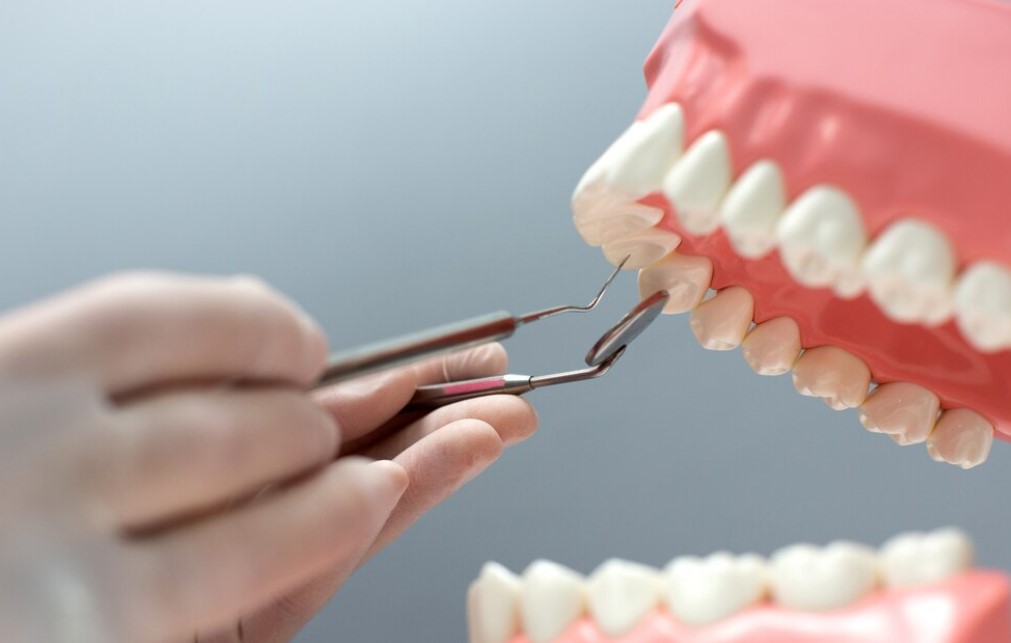 primer plano de un dentista observando una protesis